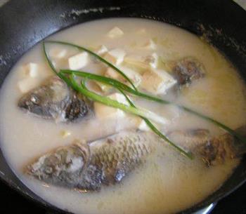 奶白色的鲫鱼豆腐汤怎么做，奶白色的鲫鱼豆腐汤怎么做好吃，奶白色的鲫鱼豆腐汤做法