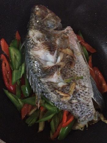 美味炒卢非魚怎么做，美味炒卢非魚怎么做好吃，美味炒卢非魚做法