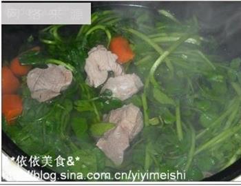 西洋菜蜜枣猪腱肉汤怎么做，西洋菜蜜枣猪腱肉汤怎么做好吃，西洋菜蜜枣猪腱肉汤做法